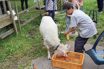 IMG_3468.jpg
