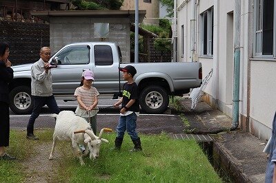IMG_3474.jpg