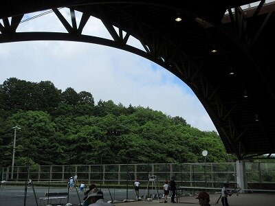 IMG_3549.jpg
