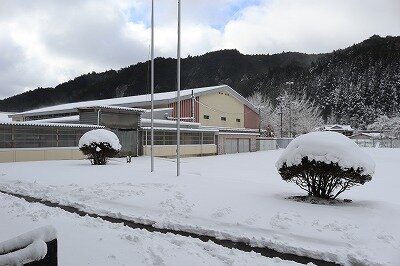 IMG_3588.jpg