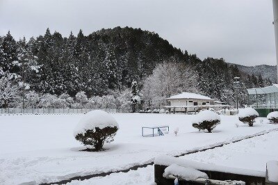 IMG_3591.jpg