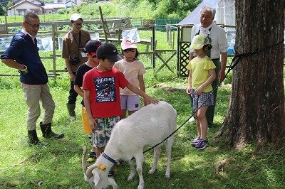 IMG_5994.jpg