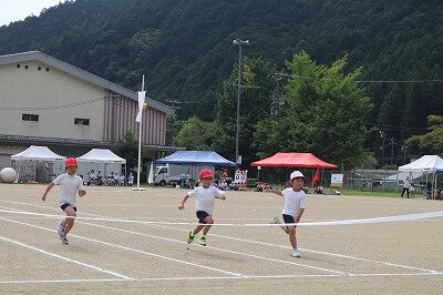 IMG_7547.jpg