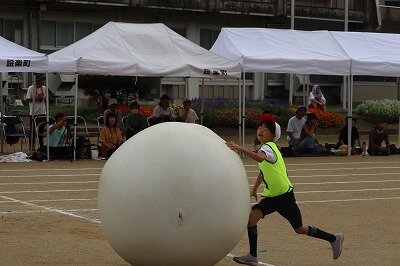 IMG_7667.jpg