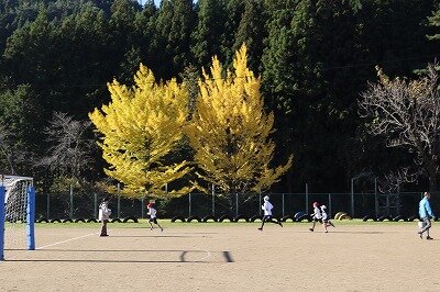 IMG_9555.jpg