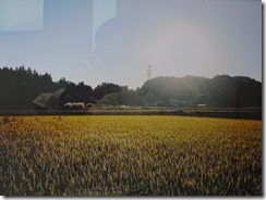 子ども写真２ (2)