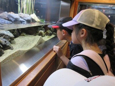 IMG_1615.jpg