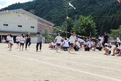 2409151.jpg