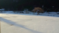 241211.jpg