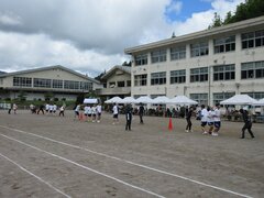 IMG_3393.JPG