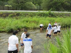 IMG_0881.JPG