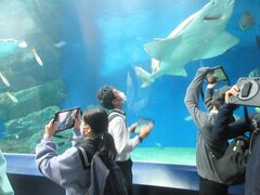 IMG_5161.JPG