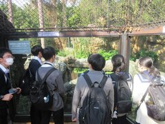 IMG_5118.JPG